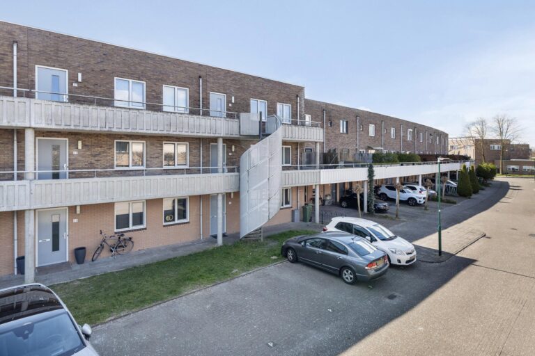 Zilvermos 21 
