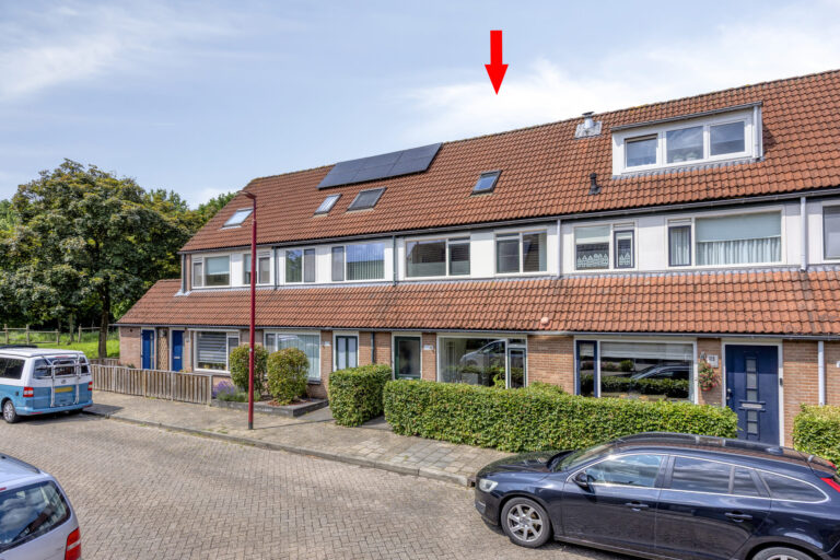 Steenarend 20 